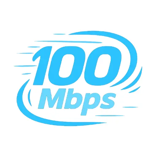 100 Mbps 12 month